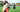 baseball pitching drills, pitching drills for baseball