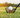 How To Grip A Golf Club