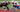 Positions of lacrosse, lacrosse grip tape, lacrosse grip, Lacrosse positions