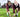 Girls playing a field hockey game in full uniform with shin guards and field hockey sticks hitting a ball on the pitch